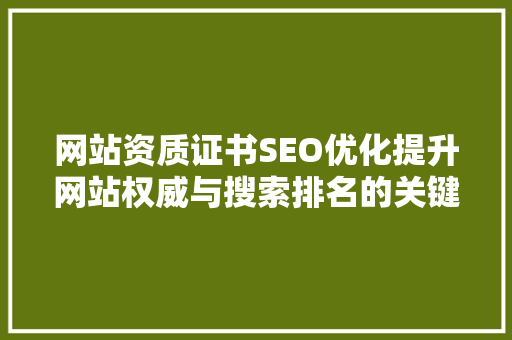 网站资质证书SEO优化提升网站权威与搜索排名的关键步骤