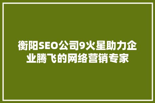 衡阳SEO公司9火星助力企业腾飞的网络营销专家