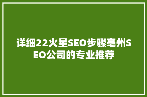 详细22火星SEO步骤亳州SEO公司的专业推荐