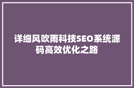详细风吹雨科技SEO系统源码高效优化之路