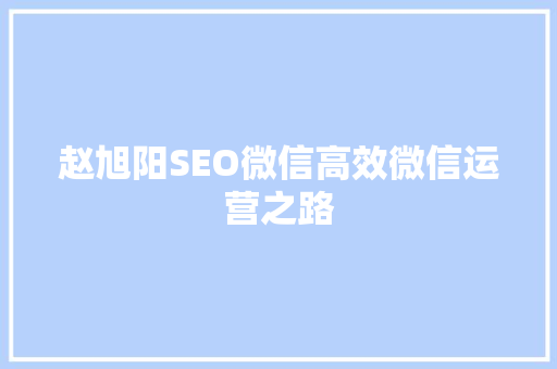 赵旭阳SEO微信高效微信运营之路