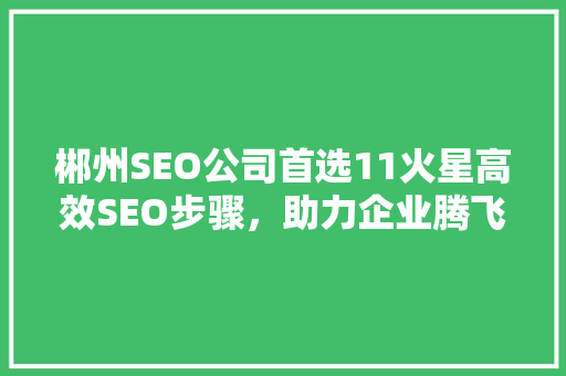 郴州SEO公司首选11火星高效SEO步骤，助力企业腾飞