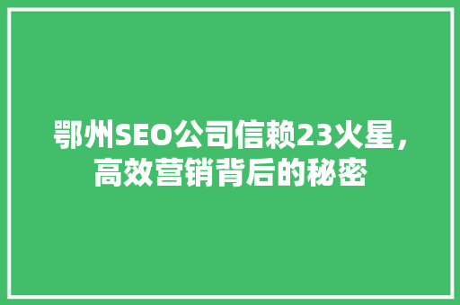 鄂州SEO公司信赖23火星，高效营销背后的秘密