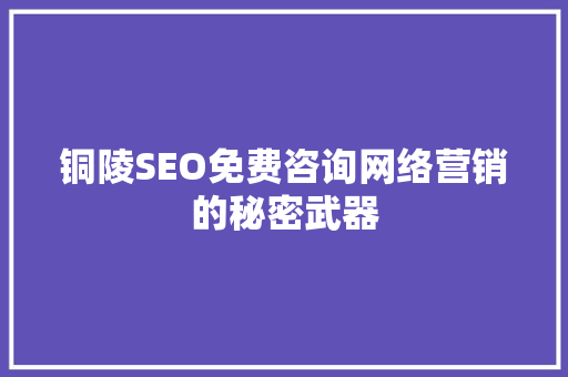 铜陵SEO免费咨询网络营销的秘密武器
