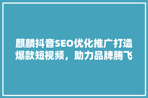 麒麟抖音SEO优化推广打造爆款短视频，助力品牌腾飞  第1张