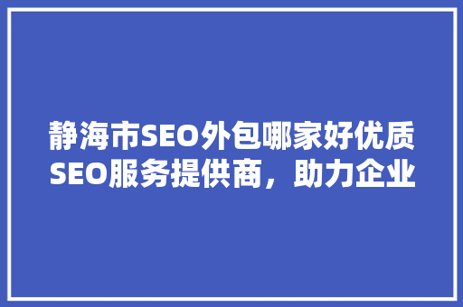 静海市SEO外包哪家好优质SEO服务提供商，助力企业网络营销腾飞