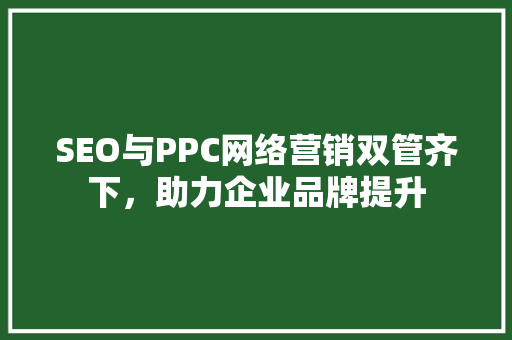SEO与PPC网络营销双管齐下，助力企业品牌提升