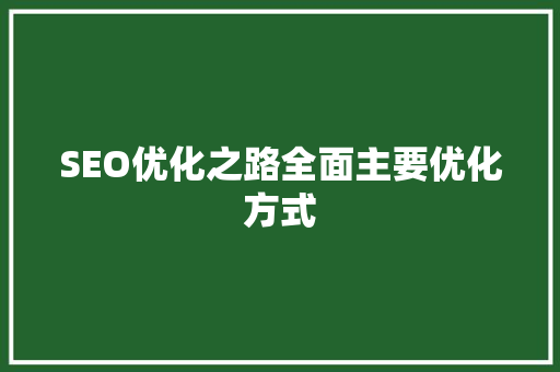 SEO优化之路全面主要优化方式