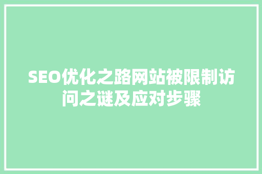 SEO优化之路网站被限制访问之谜及应对步骤