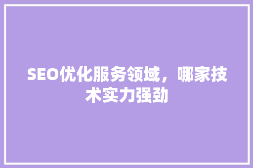 SEO优化服务领域，哪家技术实力强劲