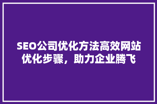 SEO公司优化方法高效网站优化步骤，助力企业腾飞