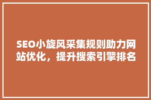 SEO小旋风采集规则助力网站优化，提升搜索引擎排名