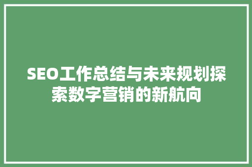 SEO工作总结与未来规划探索数字营销的新航向