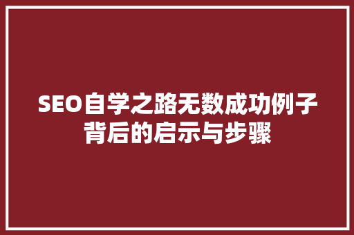 SEO自学之路无数成功例子背后的启示与步骤