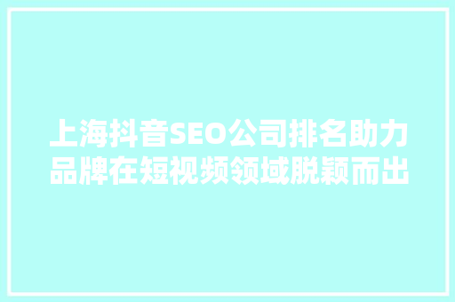 上海抖音SEO公司排名助力品牌在短视频领域脱颖而出