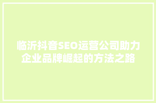临沂抖音SEO运营公司助力企业品牌崛起的方法之路