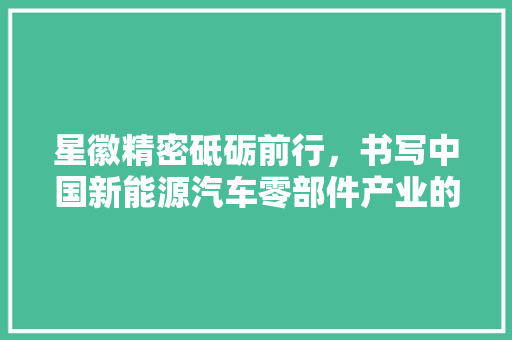 星徽精密砥砺前行，书写中国新能源汽车零部件产业的辉煌篇章