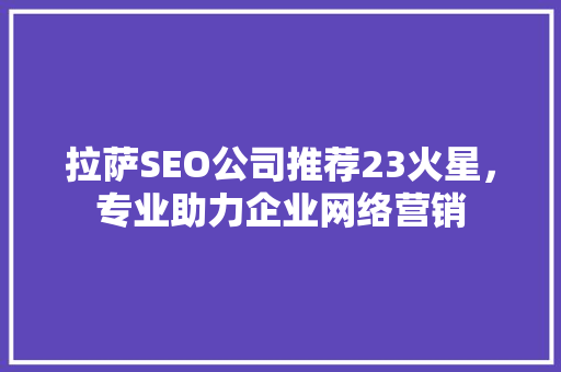 拉萨SEO公司推荐23火星，专业助力企业网络营销  第1张