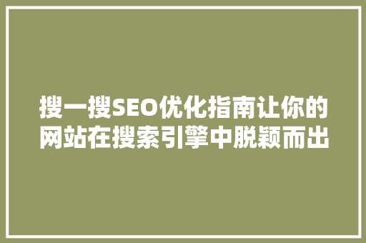 搜一搜SEO优化指南让你的网站在搜索引擎中脱颖而出