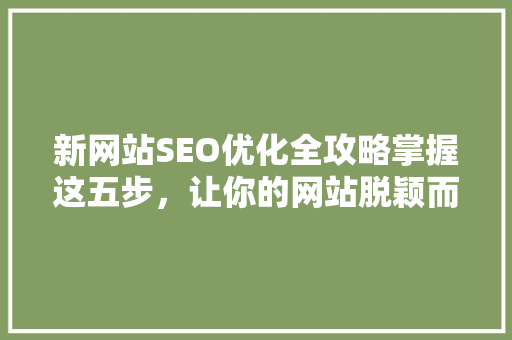 新网站SEO优化全攻略掌握这五步，让你的网站脱颖而出