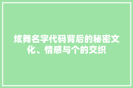 炫舞名字代码背后的秘密文化、情感与个的交织