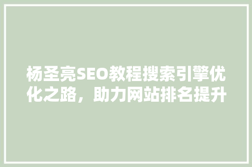 杨圣亮SEO教程搜索引擎优化之路，助力网站排名提升