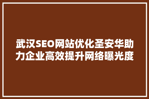 武汉SEO网站优化圣安华助力企业高效提升网络曝光度
