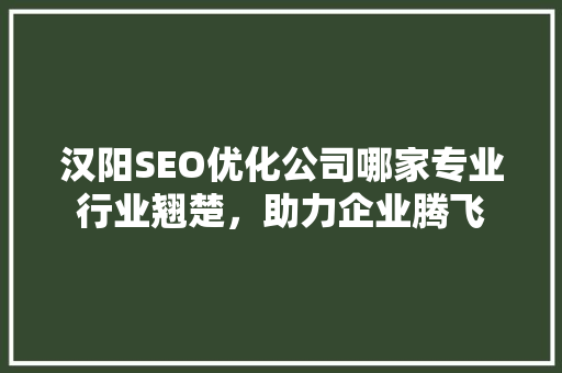汉阳SEO优化公司哪家专业行业翘楚，助力企业腾飞