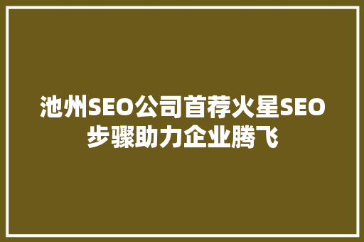池州SEO公司首荐火星SEO步骤助力企业腾飞