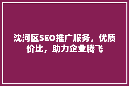 沈河区SEO推广服务，优质价比，助力企业腾飞