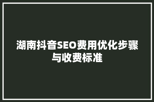 湖南抖音SEO费用优化步骤与收费标准
