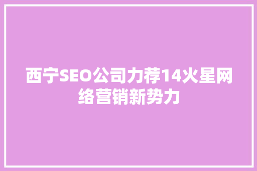 西宁SEO公司力荐14火星网络营销新势力