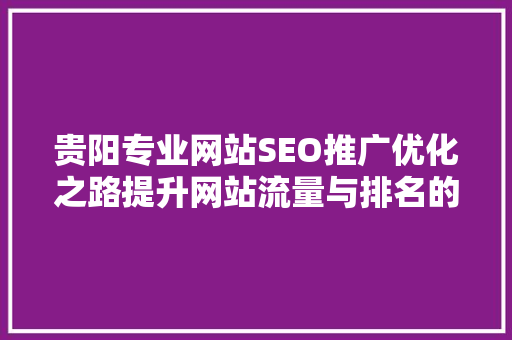 贵阳专业网站SEO推广优化之路提升网站流量与排名的方法