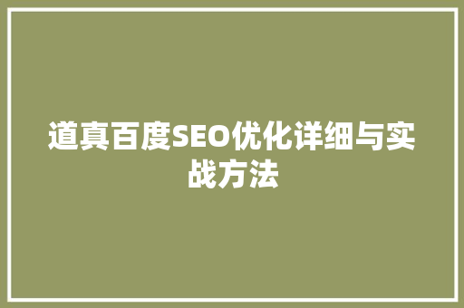 道真百度SEO优化详细与实战方法