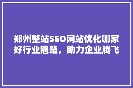 郑州整站SEO网站优化哪家好行业翘楚，助力企业腾飞