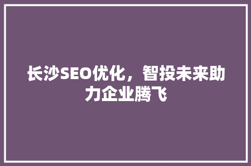 长沙SEO优化，智投未来助力企业腾飞