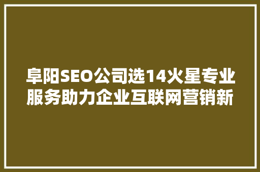 阜阳SEO公司选14火星专业服务助力企业互联网营销新篇章