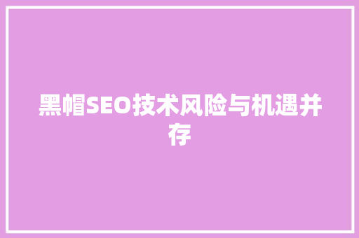 黑帽SEO技术风险与机遇并存