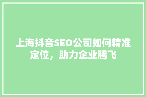 上海抖音SEO公司如何精准定位，助力企业腾飞
