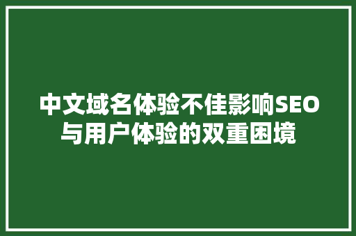 中文域名体验不佳影响SEO与用户体验的双重困境