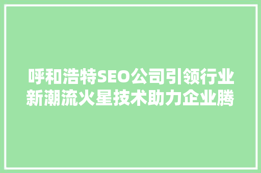呼和浩特SEO公司引领行业新潮流火星技术助力企业腾飞