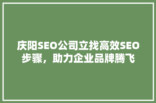 庆阳SEO公司立找高效SEO步骤，助力企业品牌腾飞