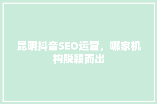 昆明抖音SEO运营，哪家机构脱颖而出