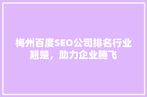 梅州百度SEO公司排名行业翘楚，助力企业腾飞