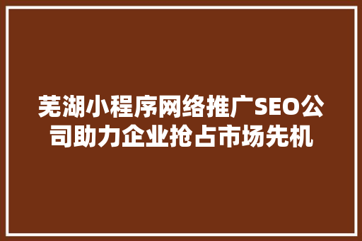 芜湖小程序网络推广SEO公司助力企业抢占市场先机
