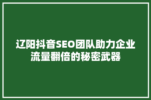 辽阳抖音SEO团队助力企业流量翻倍的秘密武器