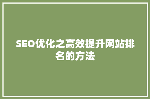 SEO优化之高效提升网站排名的方法