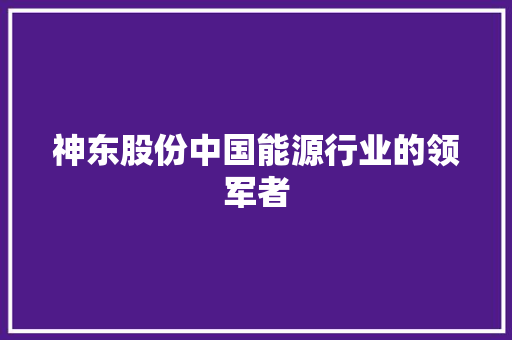 神东股份中国能源行业的领军者