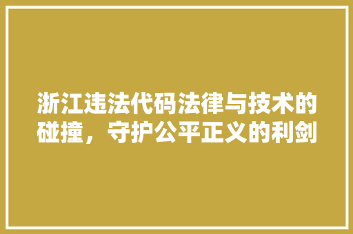 浙江违法代码法律与技术的碰撞，守护公平正义的利剑
