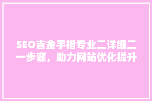 SEO吉金手指专业二详细二一步骤，助力网站优化提升  第1张